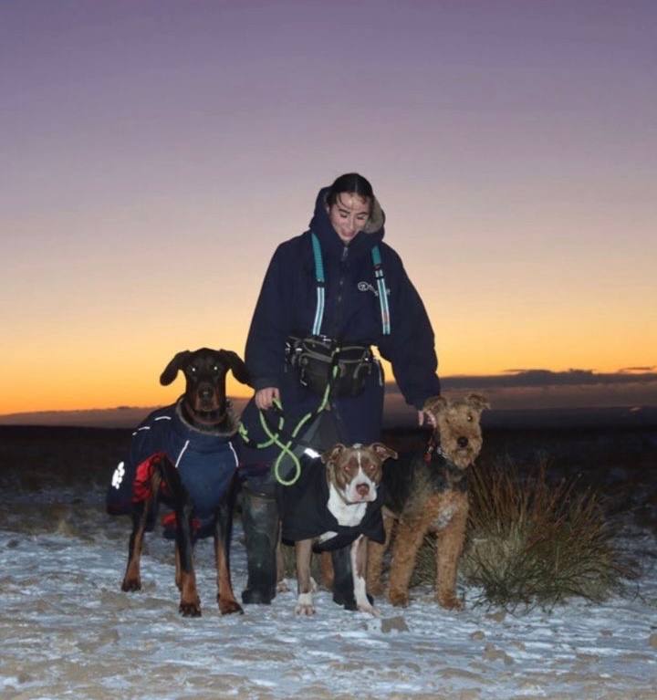 Caitlin the dog walker with three happy dogs on a snowy hill at sunset